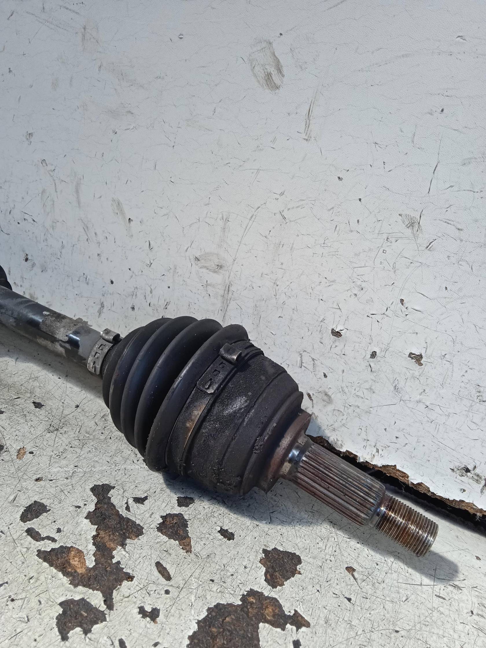 Semialbero ant. compl. sx.